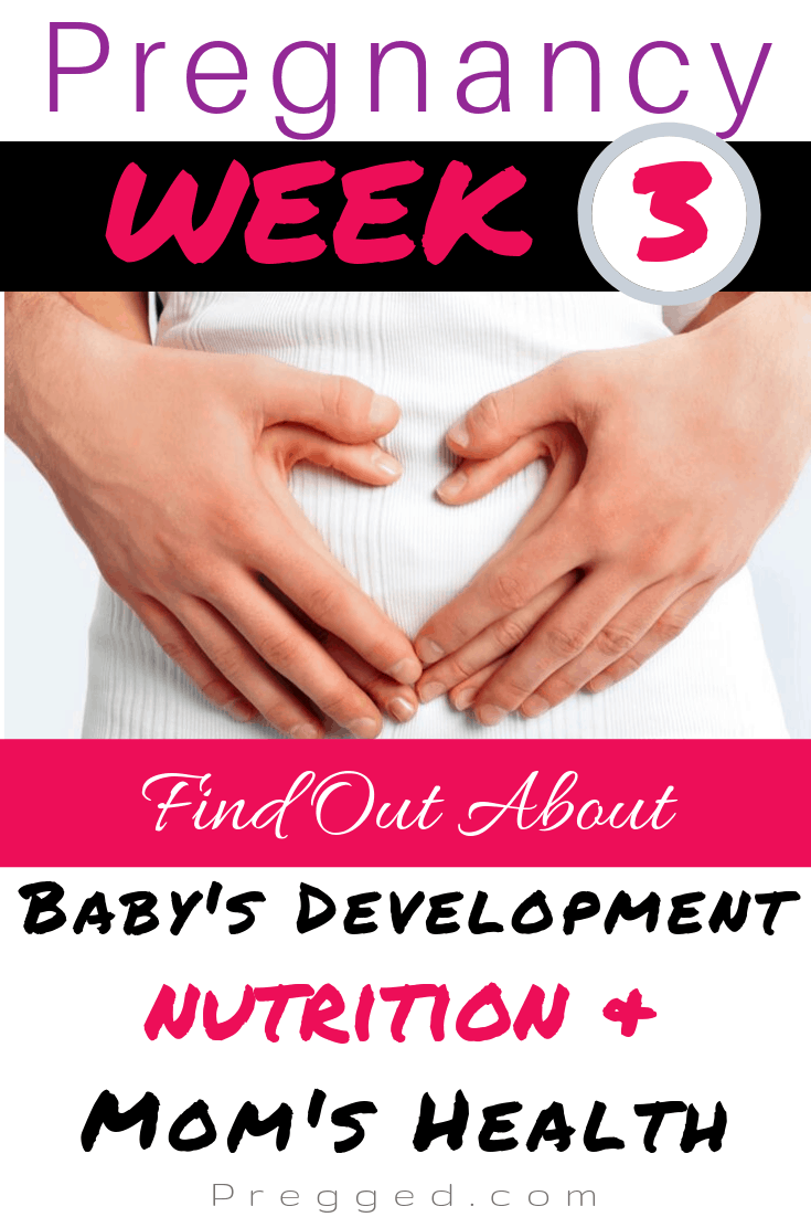What's happening during your 3rd Week of Pregnancy? What's happening inside your uterus, inside the rest of your body and how might you feel? Also learn what you should be eating for a healthy pregnancy by Obstetrician Dr Kim Langdon #pregnancy #week3 #pregnancytips #pregnancy advice #weekbyweek